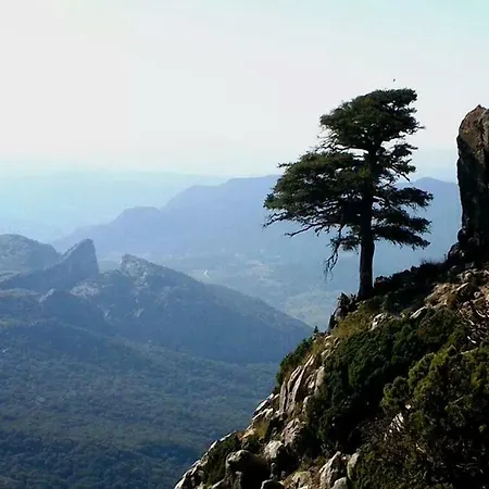 Casa La Vega בית כפרי אל בוסקה